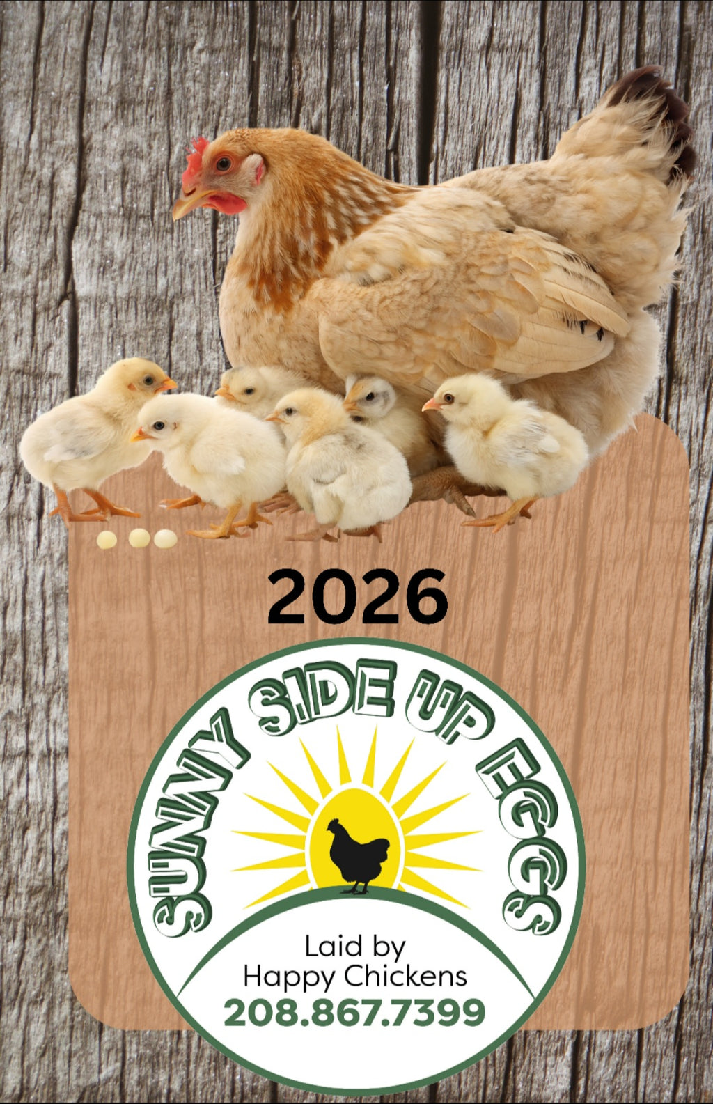 Egg Production & Cost Tracker Record Journal – Homestead Chicken Egg Log Book for Small Farms & Backyard Flocks-3 years